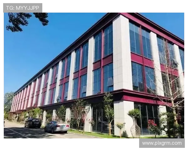 雪域电竞引领高原数字竞技产业融合创新发展迈向新时代宏伟蓝图篇