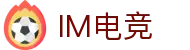 IM（股份有限公司）电竞-电子竞技平台