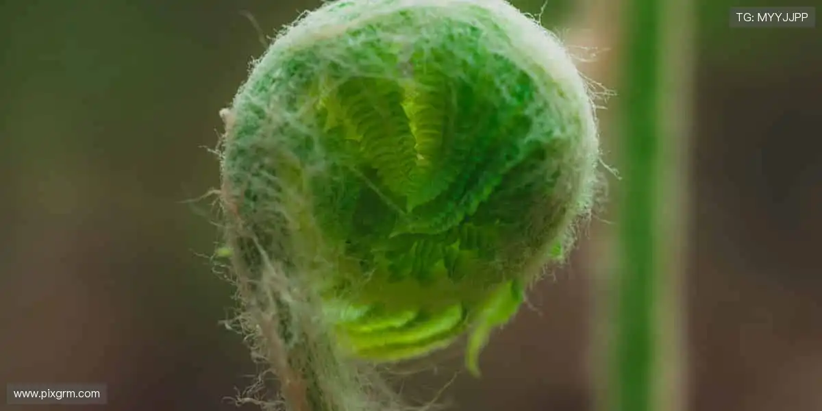 个性定制,专属你的运动符号!✨